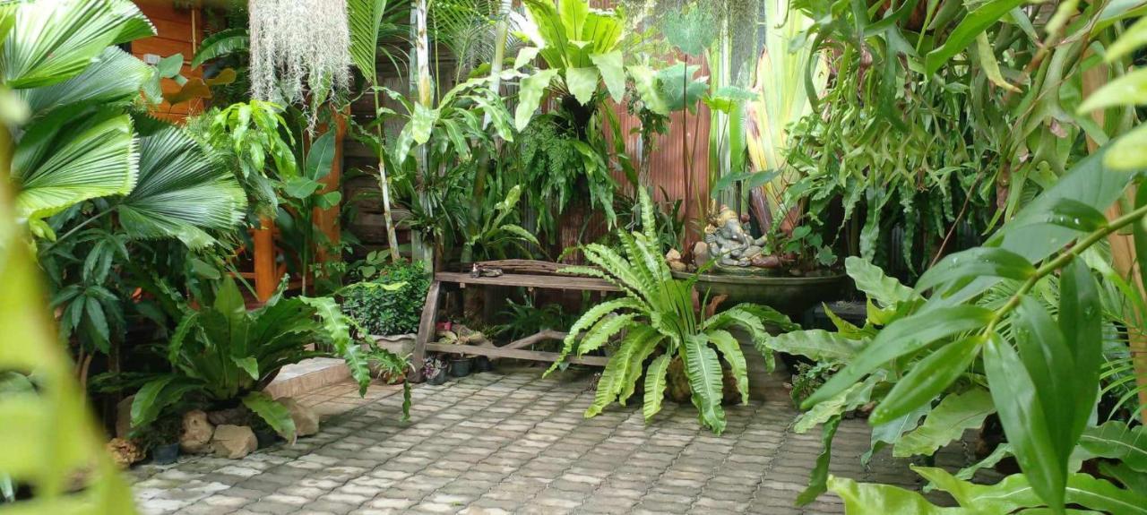 Ouychai Resort Home Stay Chiang Mai Exterior foto