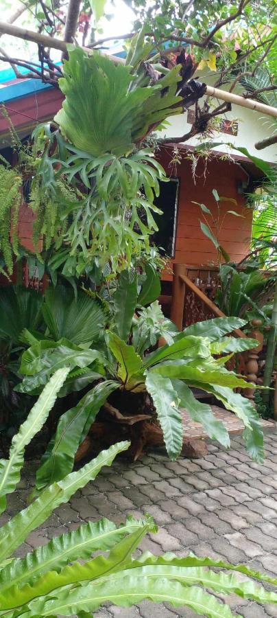 Ouychai Resort Home Stay Chiang Mai Exterior foto